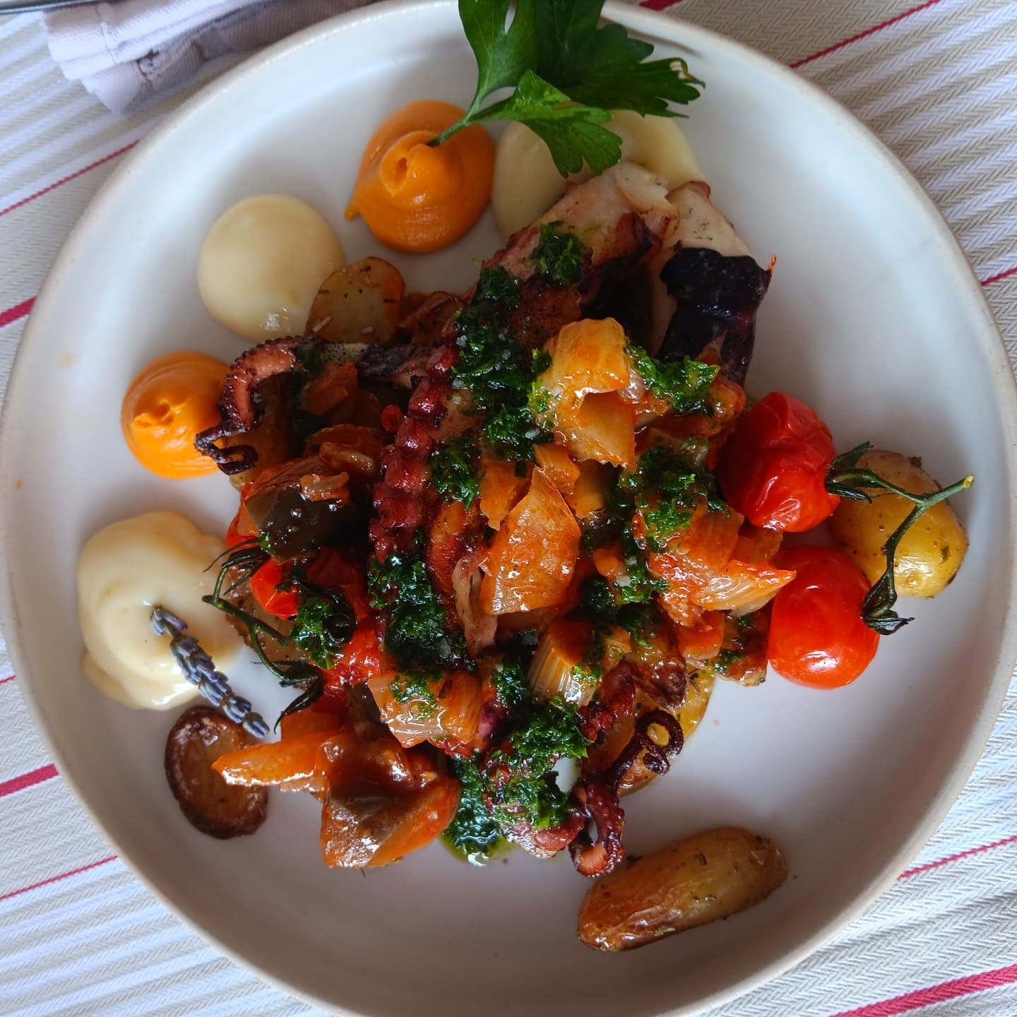 plat provençal à base de poulpe restaurant Luberon